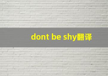 dont be shy翻译