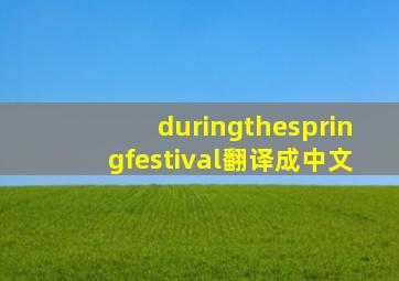 duringthespringfestival翻译成中文