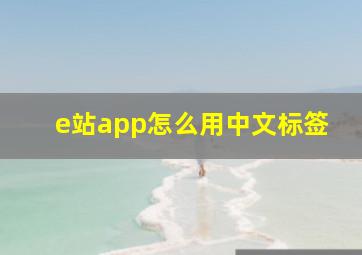 e站app怎么用中文标签