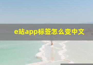 e站app标签怎么变中文