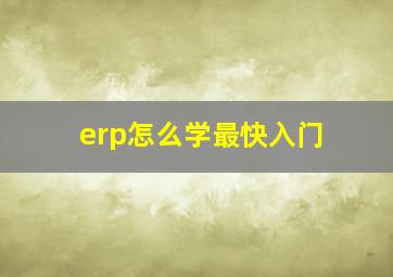 erp怎么学最快入门