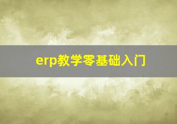 erp教学零基础入门