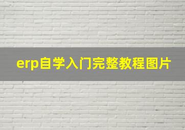 erp自学入门完整教程图片