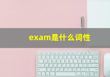 exam是什么词性