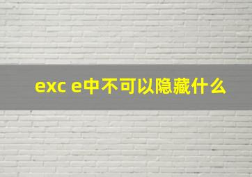 exc e中不可以隐藏什么