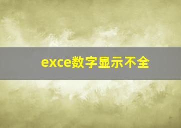 exce数字显示不全