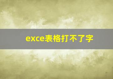 exce表格打不了字