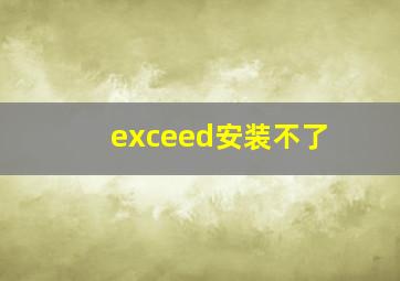 exceed安装不了