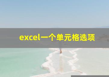 excel一个单元格选项