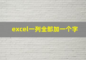 excel一列全部加一个字