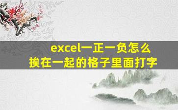 excel一正一负怎么挨在一起的格子里面打字