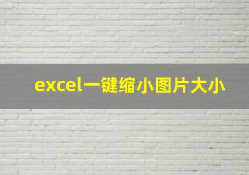 excel一键缩小图片大小