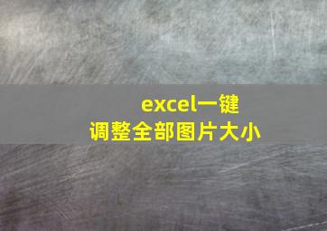 excel一键调整全部图片大小