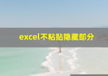 excel不粘贴隐藏部分