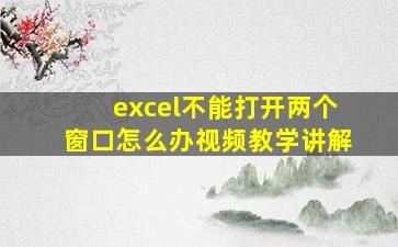 excel不能打开两个窗口怎么办视频教学讲解