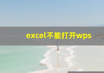 excel不能打开wps