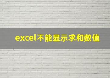 excel不能显示求和数值