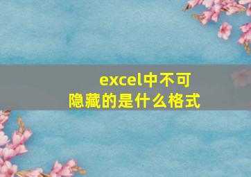 excel中不可隐藏的是什么格式