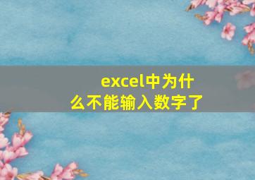 excel中为什么不能输入数字了