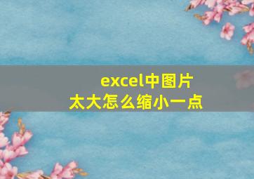 excel中图片太大怎么缩小一点