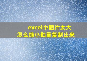 excel中图片太大怎么缩小批量复制出来