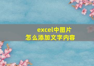 excel中图片怎么添加文字内容