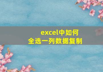 excel中如何全选一列数据复制