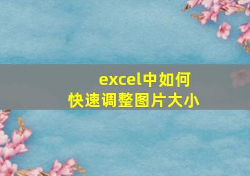 excel中如何快速调整图片大小