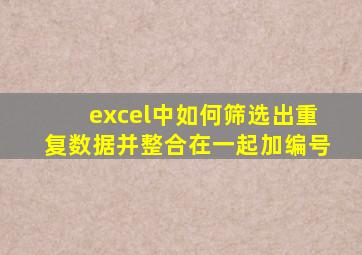 excel中如何筛选出重复数据并整合在一起加编号