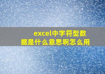 excel中字符型数据是什么意思啊怎么用