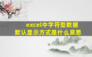 excel中字符型数据默认显示方式是什么意思