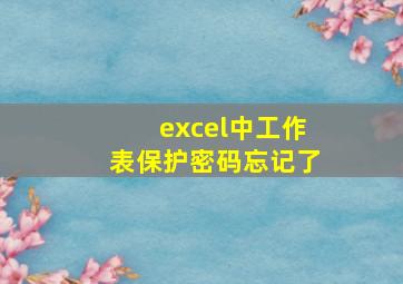 excel中工作表保护密码忘记了