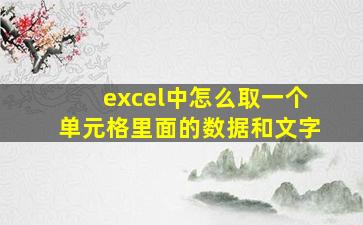 excel中怎么取一个单元格里面的数据和文字