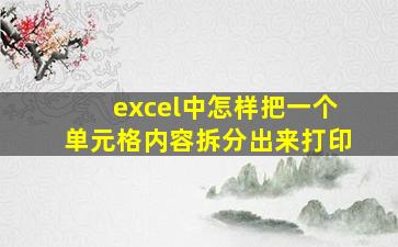 excel中怎样把一个单元格内容拆分出来打印