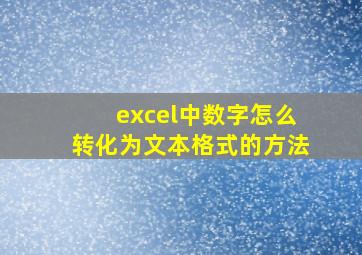 excel中数字怎么转化为文本格式的方法