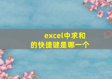 excel中求和的快捷键是哪一个