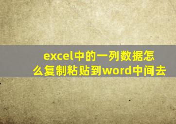 excel中的一列数据怎么复制粘贴到word中间去