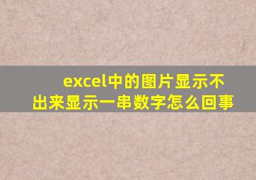 excel中的图片显示不出来显示一串数字怎么回事