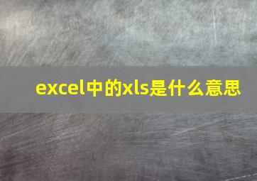 excel中的xls是什么意思