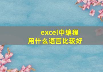 excel中编程用什么语言比较好