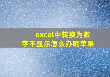 excel中转换为数字不显示怎么办呢苹果