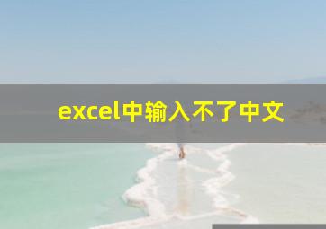 excel中输入不了中文