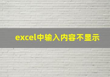 excel中输入内容不显示