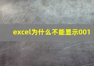 excel为什么不能显示001