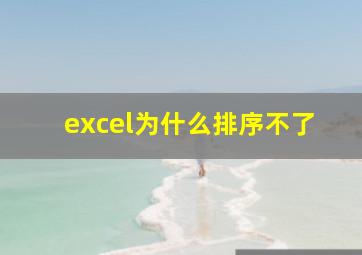 excel为什么排序不了