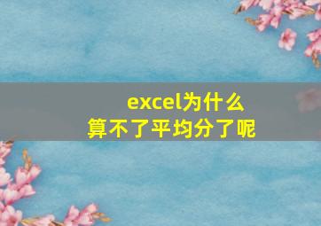 excel为什么算不了平均分了呢