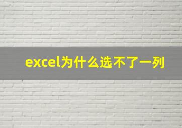 excel为什么选不了一列