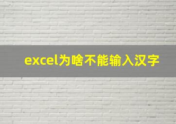 excel为啥不能输入汉字