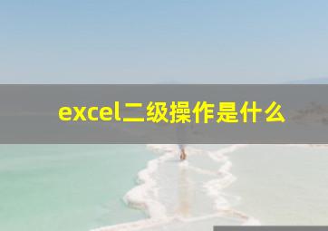 excel二级操作是什么