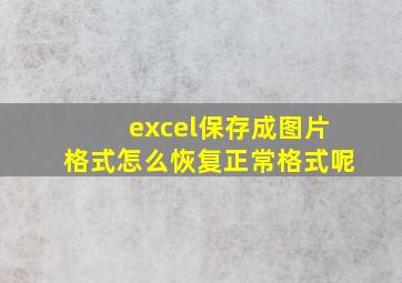 excel保存成图片格式怎么恢复正常格式呢